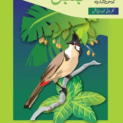 Oxford Urdu Silsila Level 1 Core Reader: Bulbul (Revise)